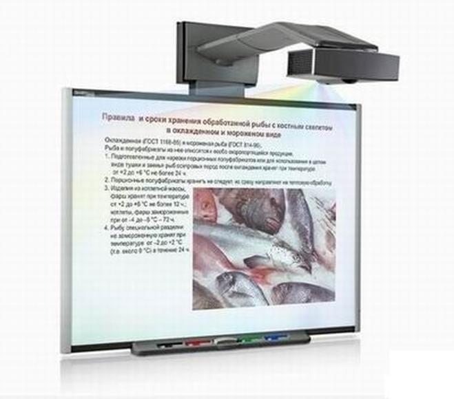 Комплект электронных плакатов «Повар, кондитер. CD 04. Обработка сырья и приготовление блюд из рыбы 